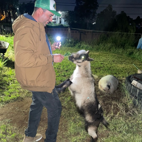 Meet your Posher, Christal ✨🐚💫🪷☀️🏝️ - Picture 10 of 14